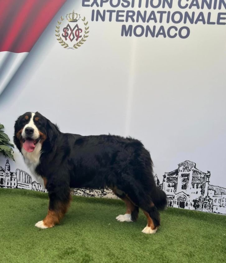 D'Ainhoa - Monaco 2024