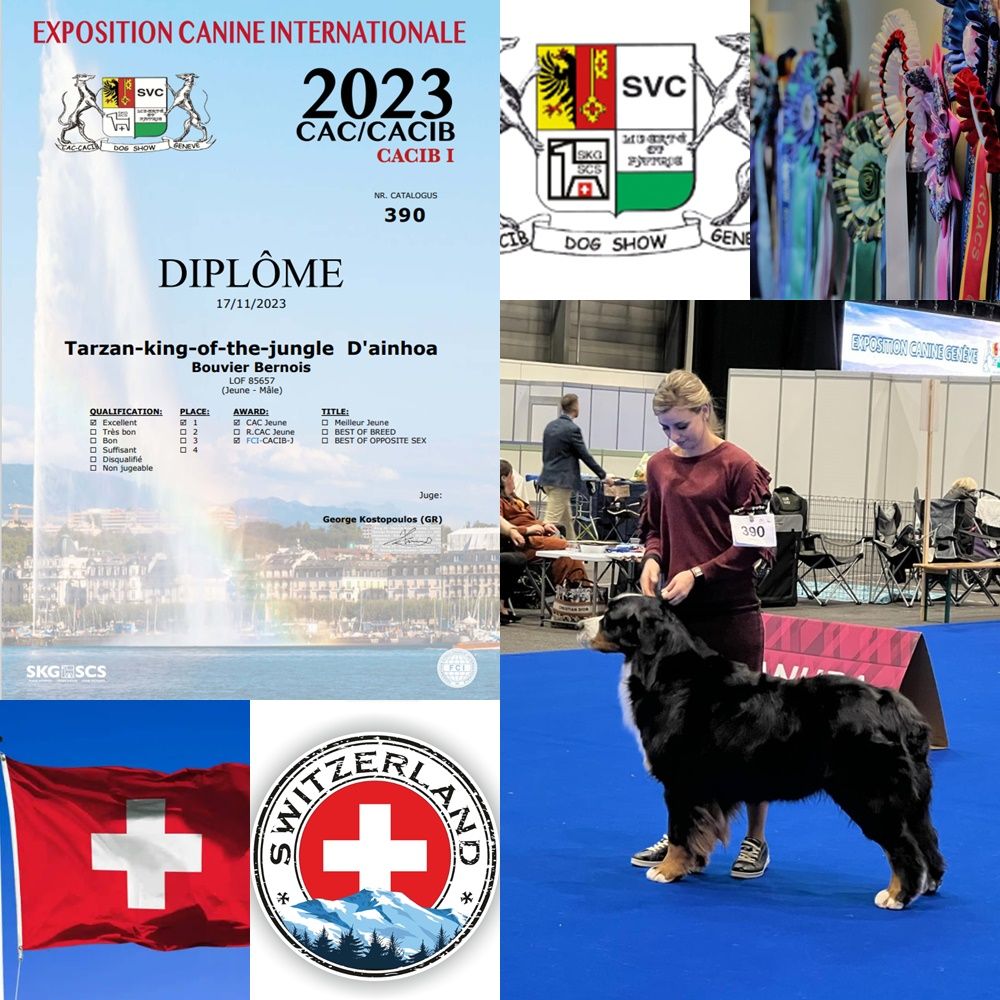 D'Ainhoa - Exposition Genève 2023
