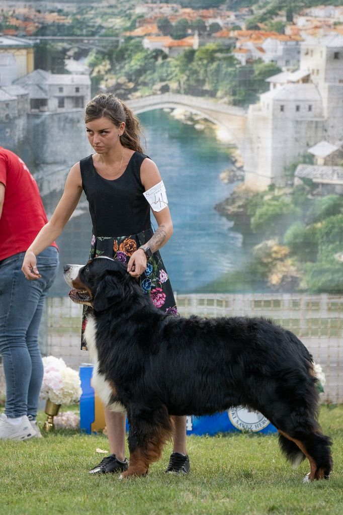 D'Ainhoa - MOSTAR Night Shows Bosnie-Herzégovie