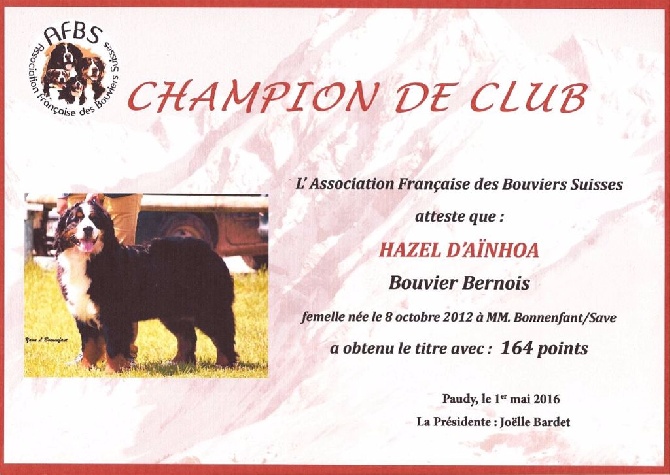 D'Ainhoa - Championne De Club 2016