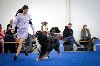  - World Dog Show Zagreb 2024