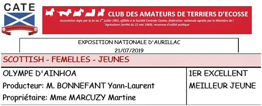 D'Ainhoa - CACS AURILLAC