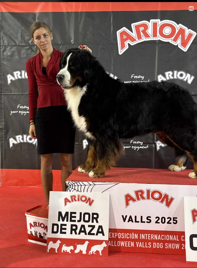 Valls Dog Show 2025 