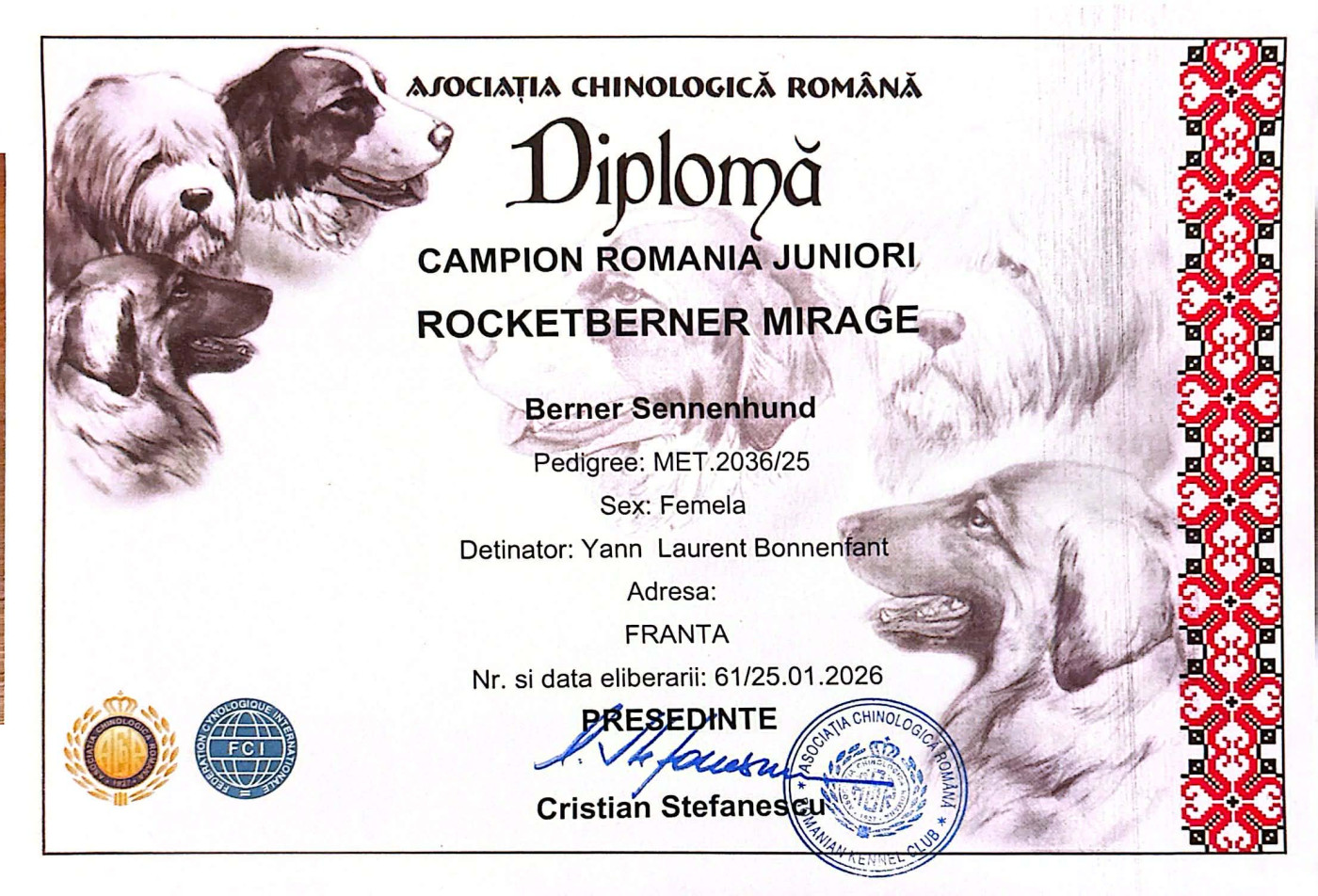 Un titre de champion Junior