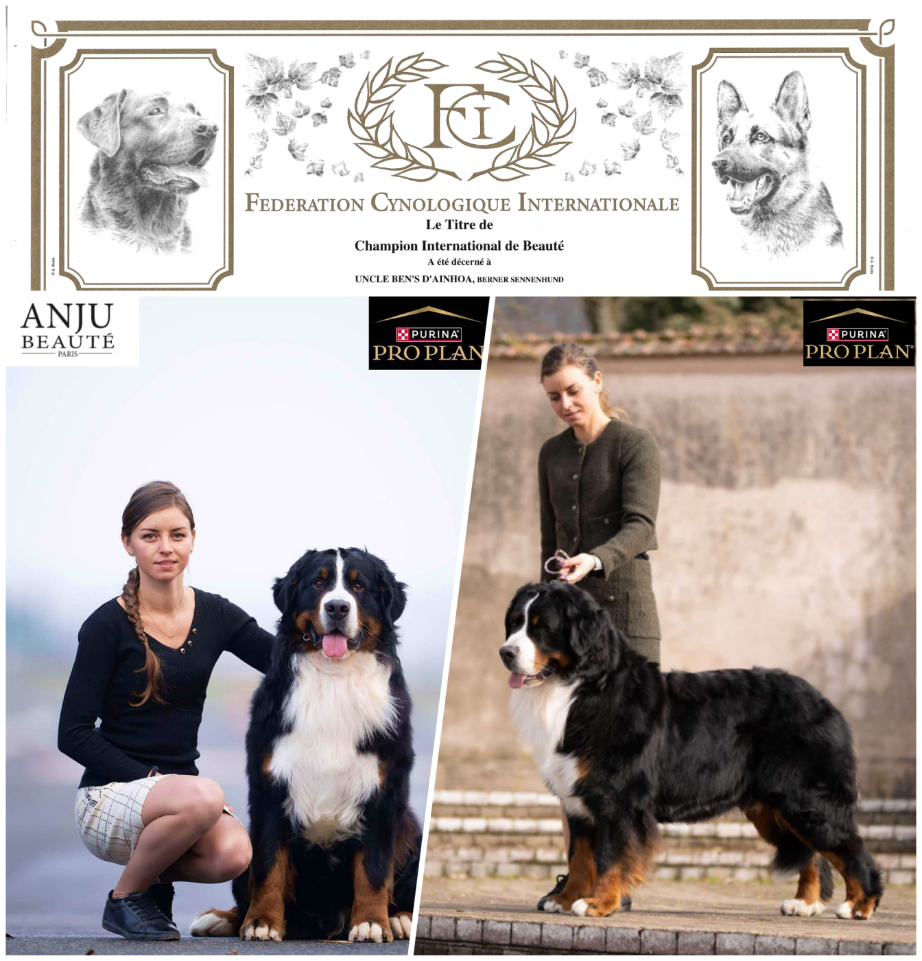 CHAMPION INTERNATIONALE