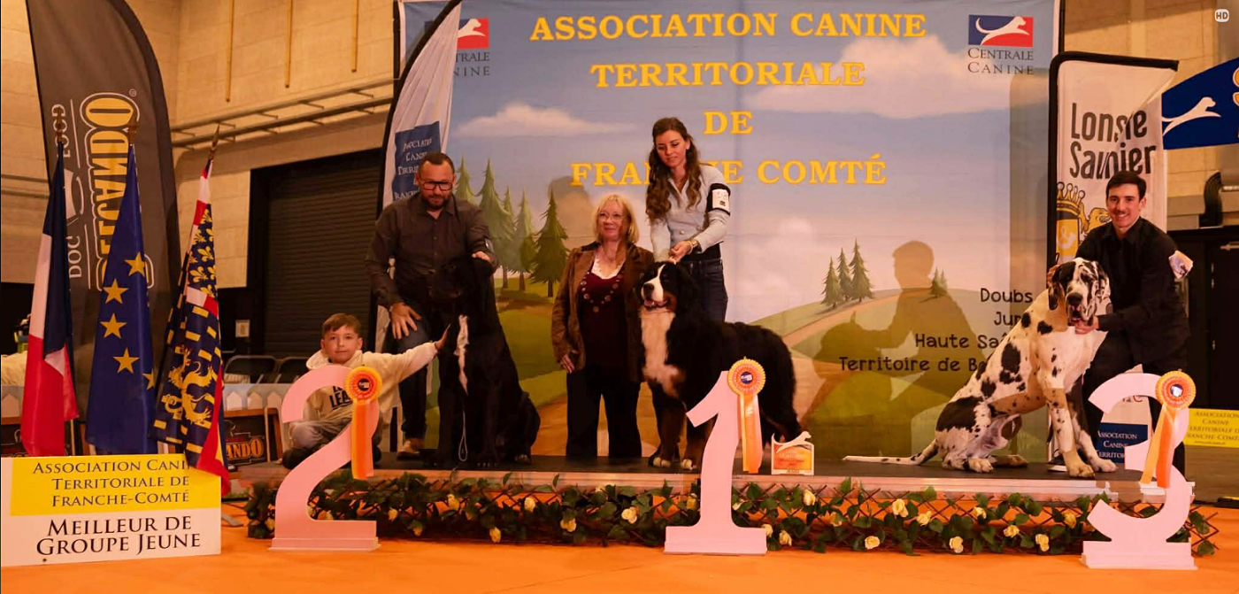 CACS LONS LE SAUNIER