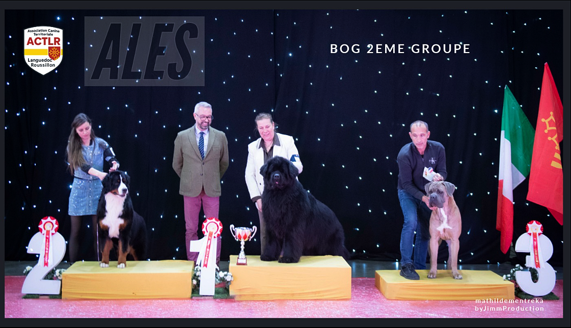 D'Ainhoa - ALES Cévenne Dog Show 1er Jour