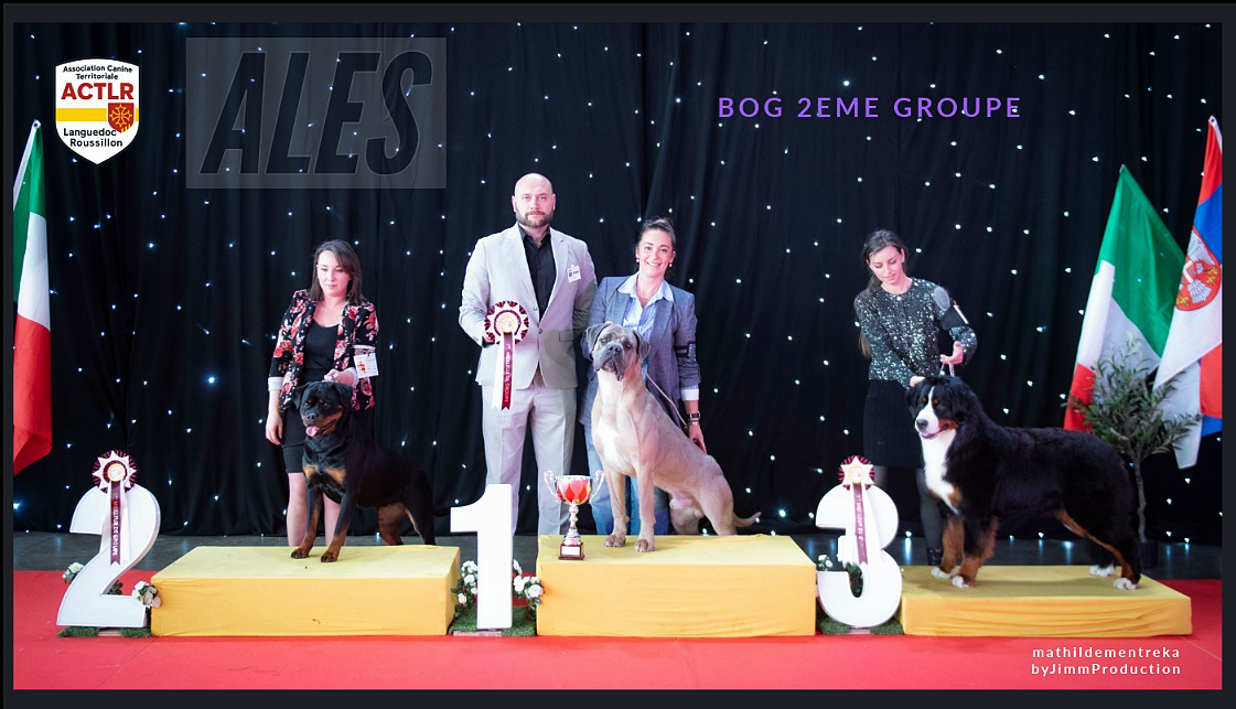 D'Ainhoa - ALES Cévenne Dog Show 2ème Jours