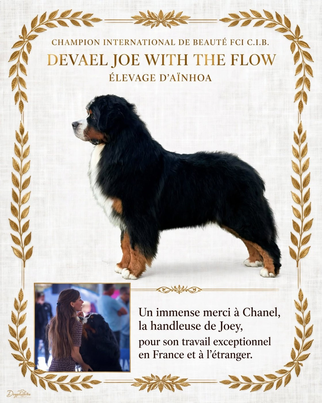 NOUVEAU CHAMPION INTERNATIONAL DE BEAUTÉ FCI