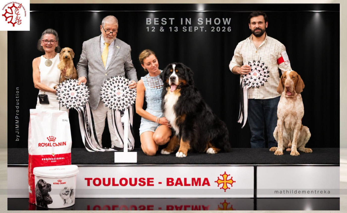 CACIB BALMA 2026