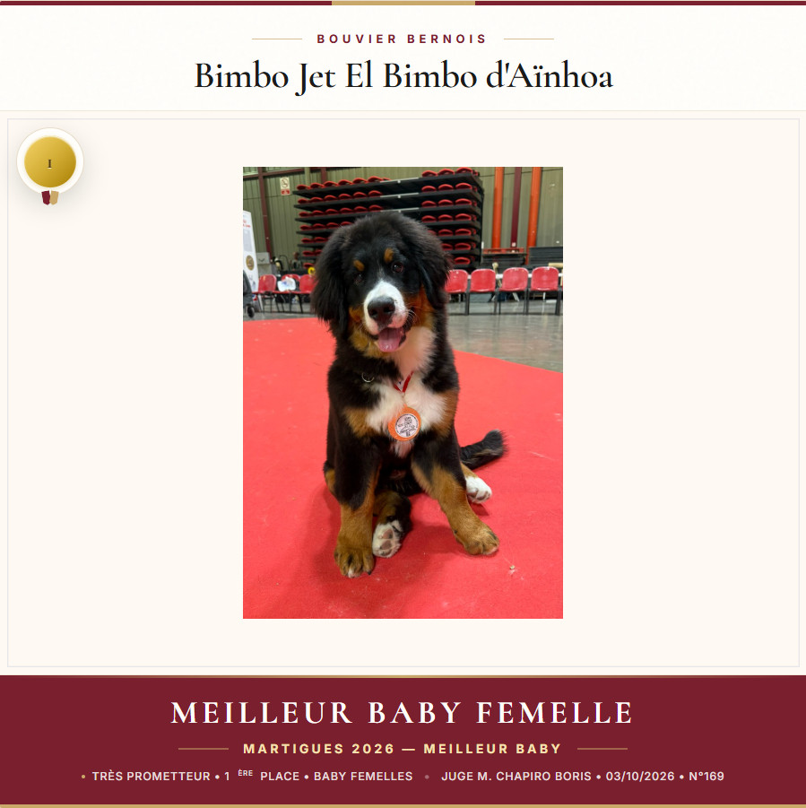 MEILLEUR BABY Martigues 2026