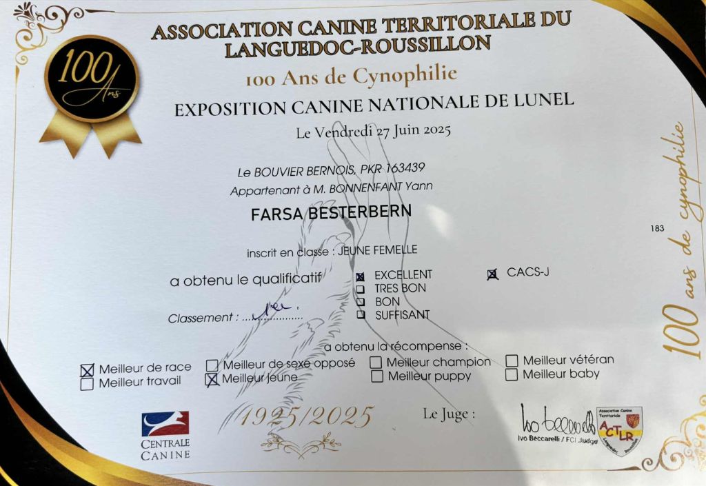 D'Ainhoa - LUNEL