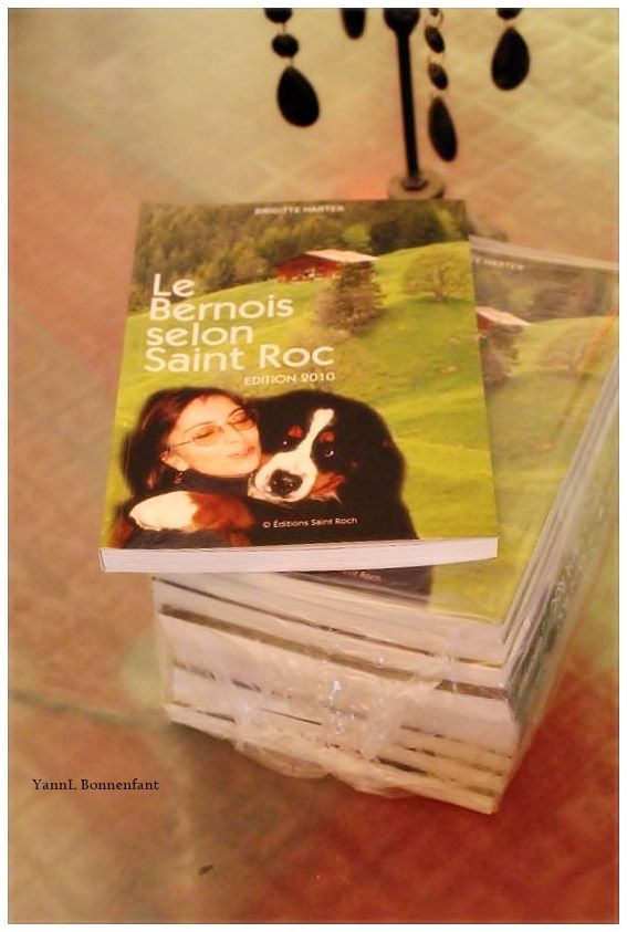 D'Ainhoa - Livre : Le Bernois Selon Saint Roc