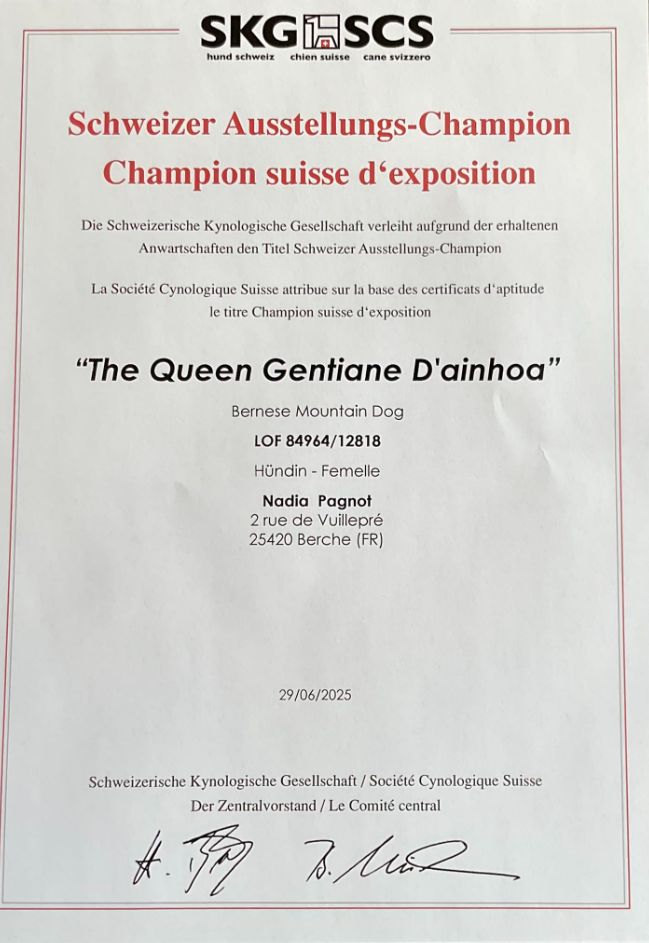 D'Ainhoa - Championne Suisse d'exposition