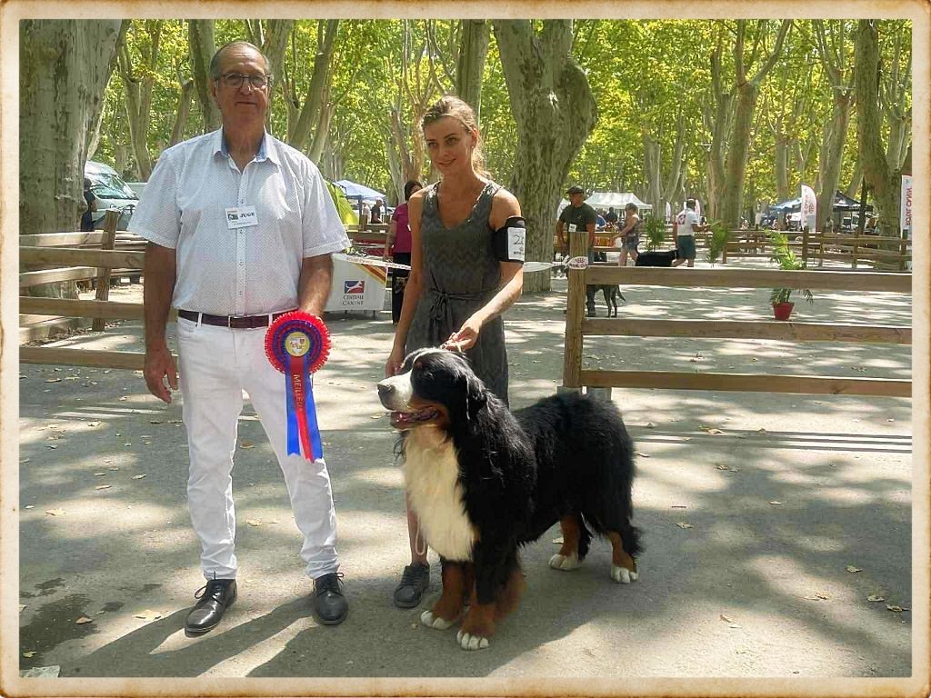 Exposition Canine Nationale BEAUCAIRE 