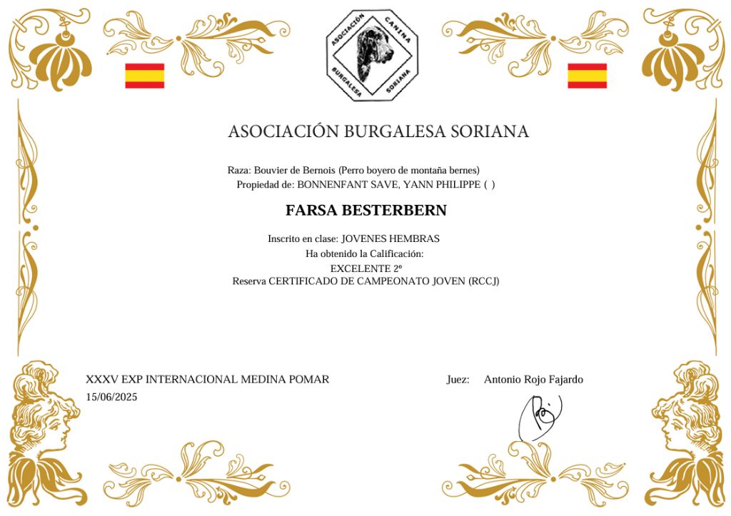 D'Ainhoa - MEDINA POMAR 2025